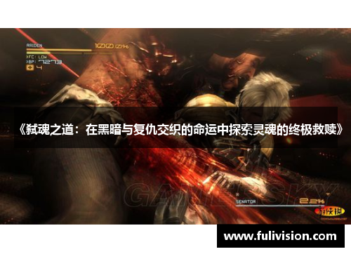 《弑魂之道：在黑暗与复仇交织的命运中探索灵魂的终极救赎》