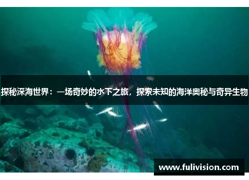 探秘深海世界：一场奇妙的水下之旅，探索未知的海洋奥秘与奇异生物