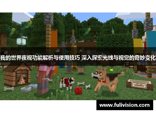 我的世界夜视功能解析与使用技巧 深入探索光线与视觉的奇妙变化