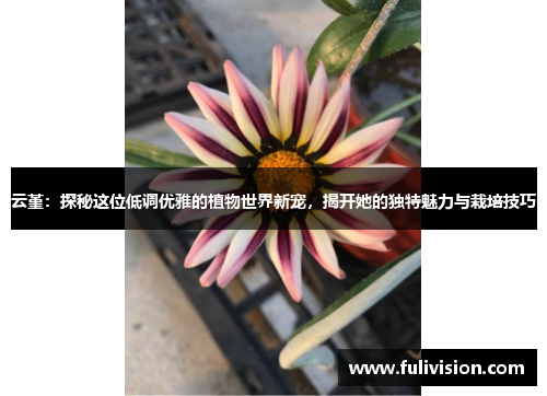 云堇：探秘这位低调优雅的植物世界新宠，揭开她的独特魅力与栽培技巧
